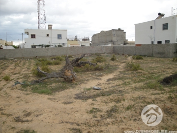 V 042 -                            Vente
                           Terrain Djerba